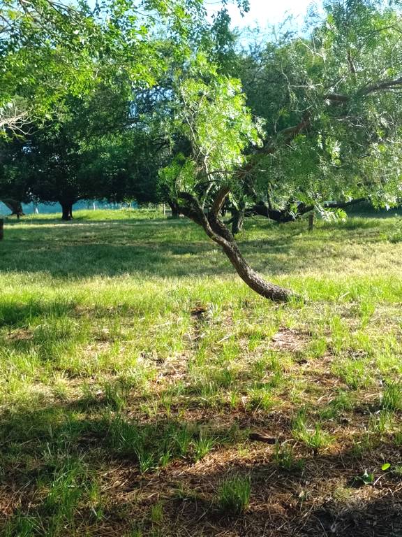 Ecocamping Col�n