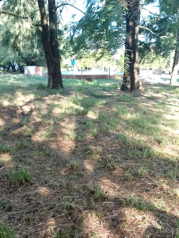 Ecocamping Col�n