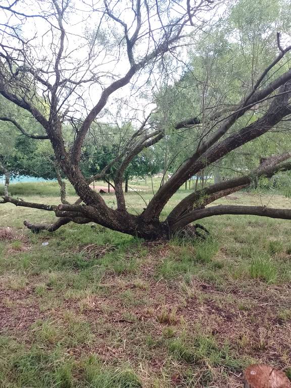 Ecocamping Col�n