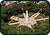 Plaza General Ramirez