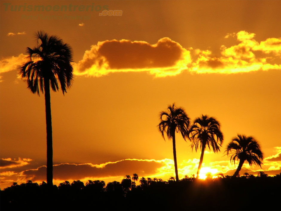 Parque El Palmar - Imagen: Turismoentrerios.com