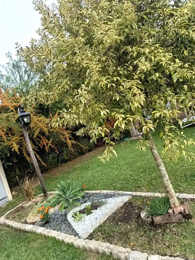 Altos del Molle Bungalows