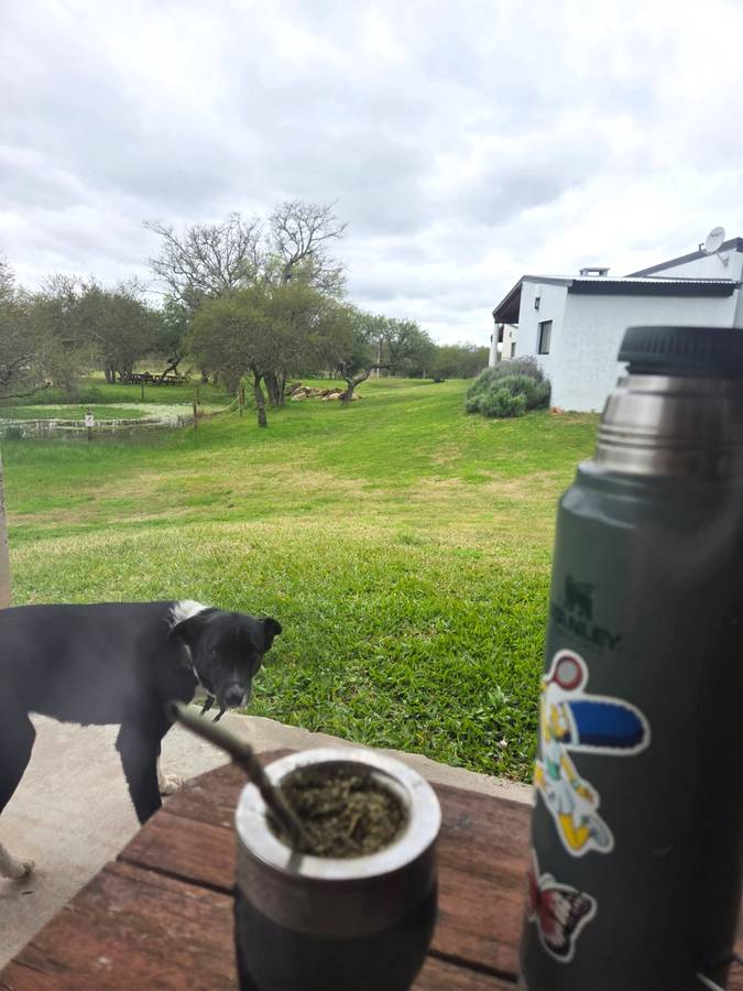 Caba�as Apapacho