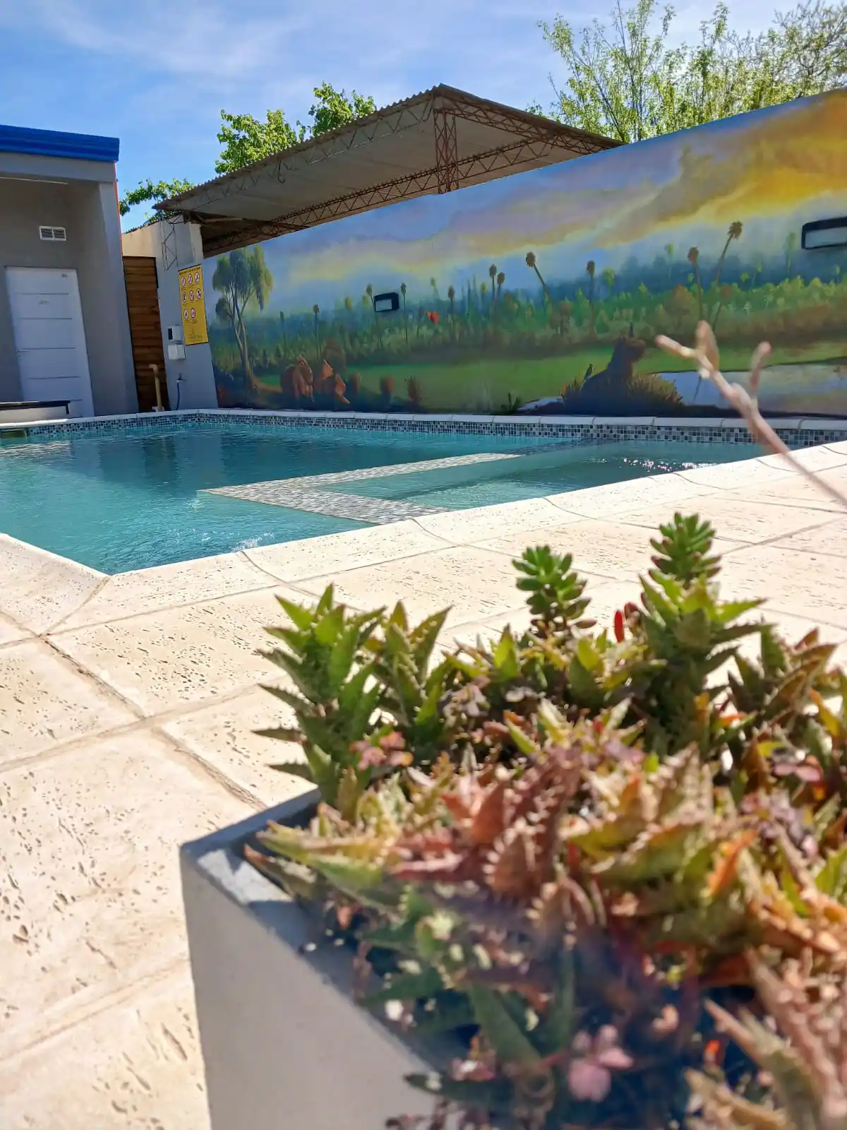 Aromitos del Uruguay