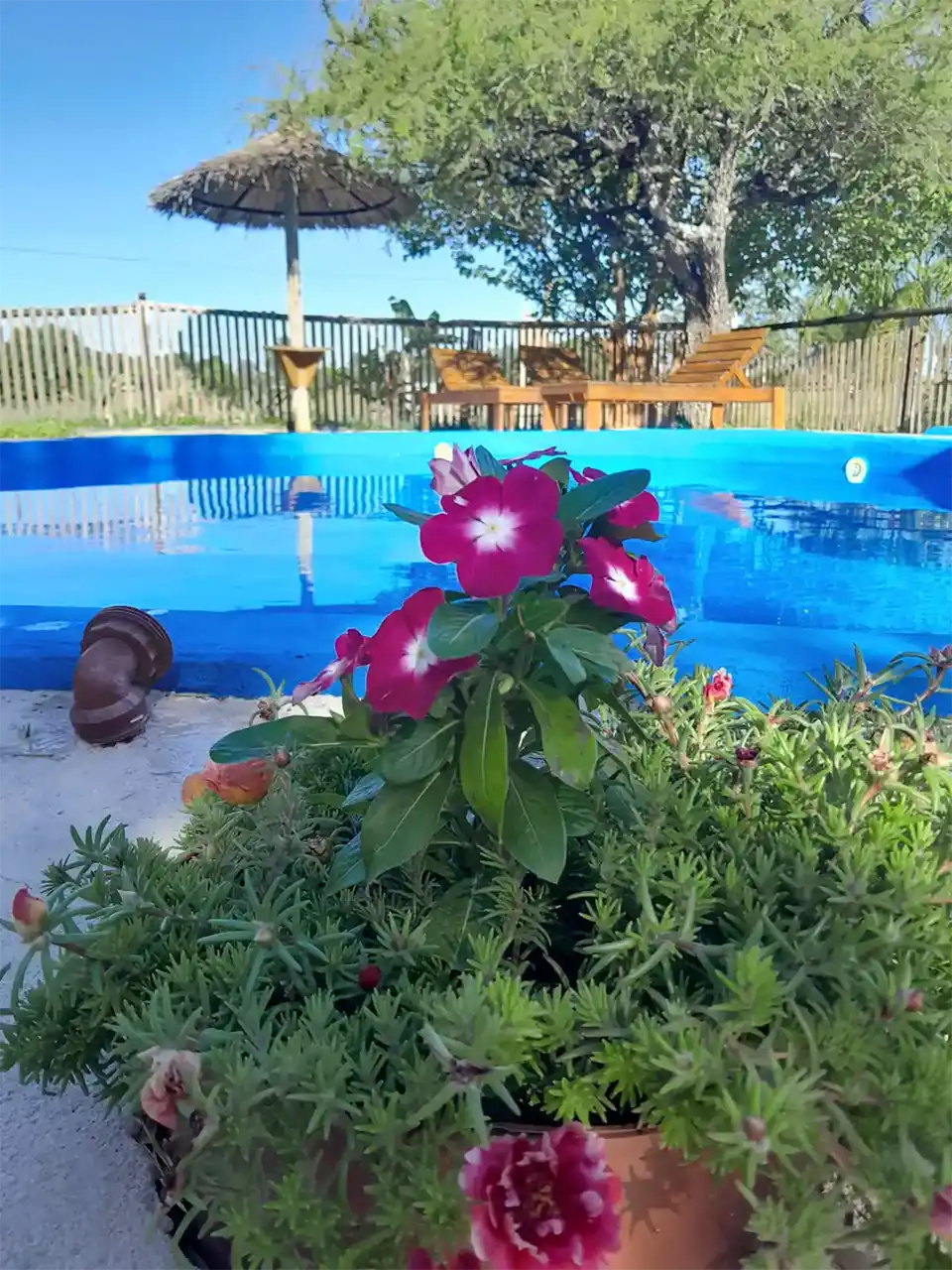 Caba�as Aires de Campo