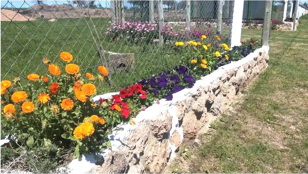 Caba�as Aires de Campo