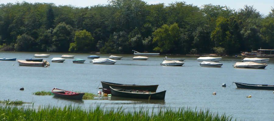 Turismo Alternativo en Concepcin del Uruguay Entre Ros