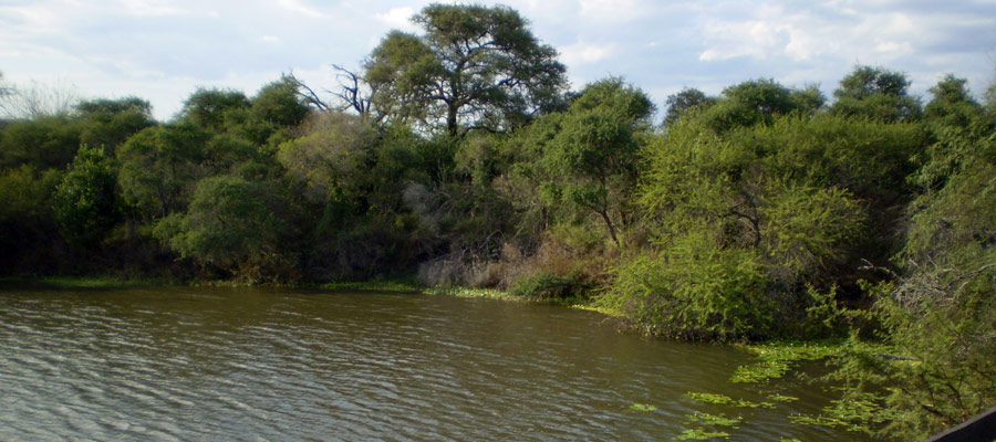 Naturaleza en Cerrito