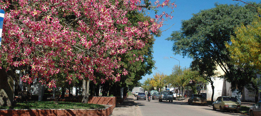 Crnica de un Viajero en Chajar Entre Ros