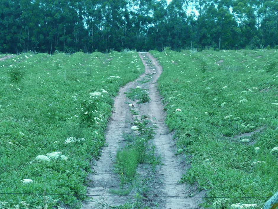 Turismo Rural en Chajar - Imagen: Turismoentrerios.com