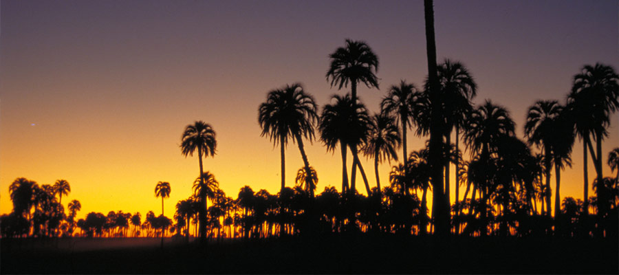 Parque el Palmar Colon