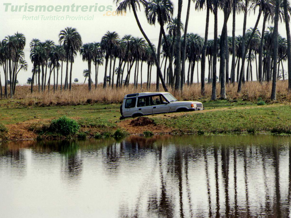 Parque Nacional El Palmar - Imagen: Turismoentrerios.com