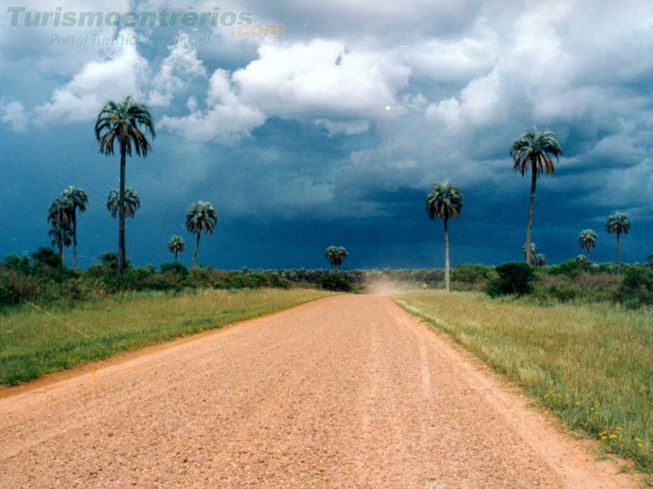 Parque Nacional El Palmar - Imagen: Turismoentrerios.com