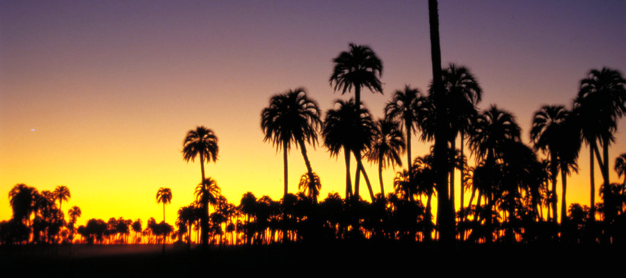 Parque Nacional El Palmar en Colon Entre Ros