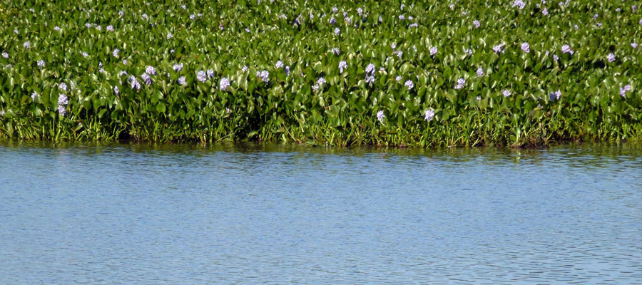 Parque Nacional Predelta en Diamante Entre Ros