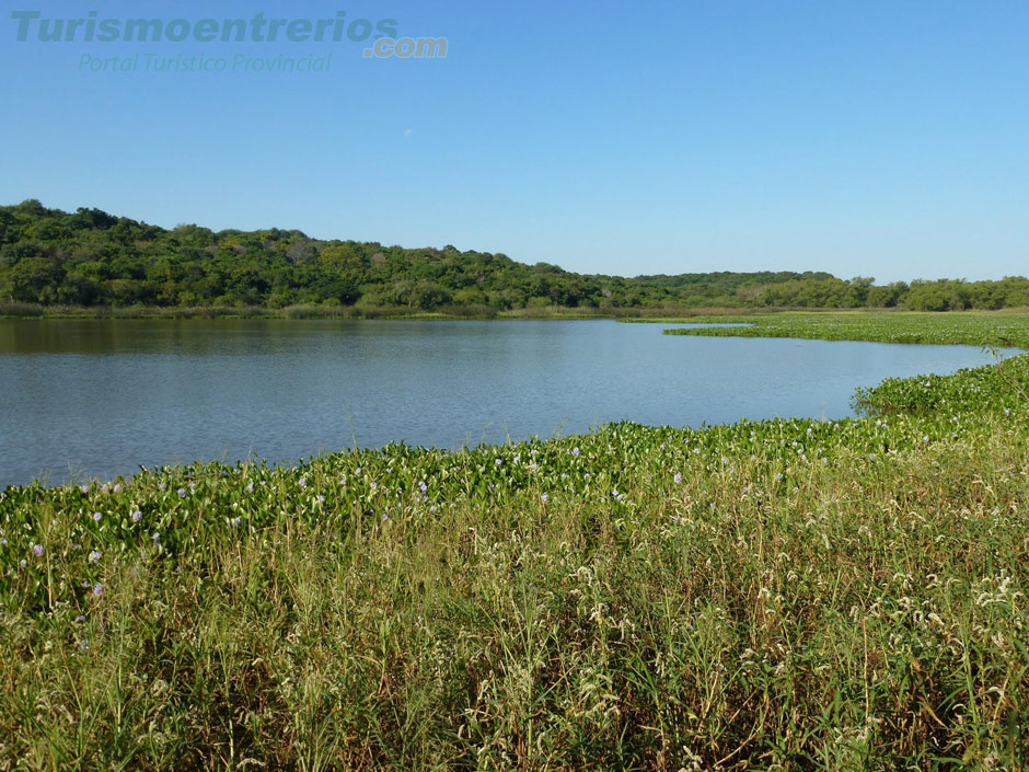 Parque Nacional Pre Delta - Imagen: Turismoentrerios.com