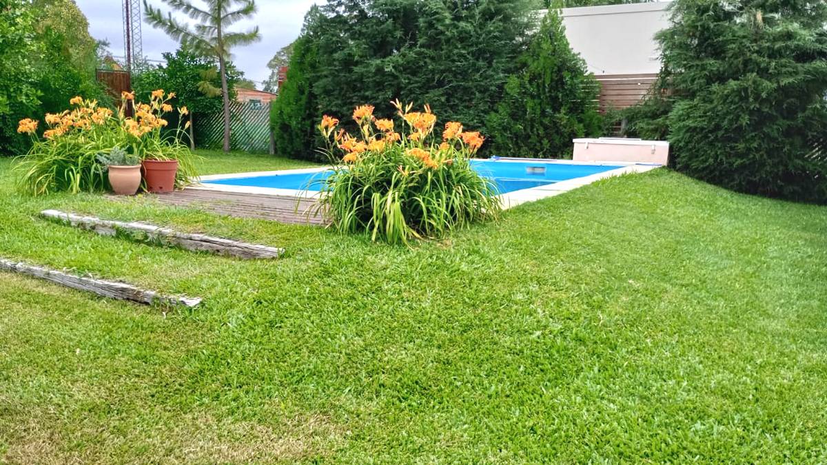 Entre Verdes
