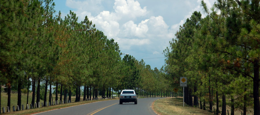 Rutas y Accesos a Federacin Entre Rios