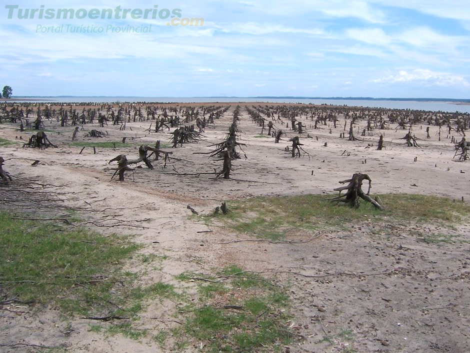 Reserva Forestal Chaviy - Imagen: Turismoentrerios.com