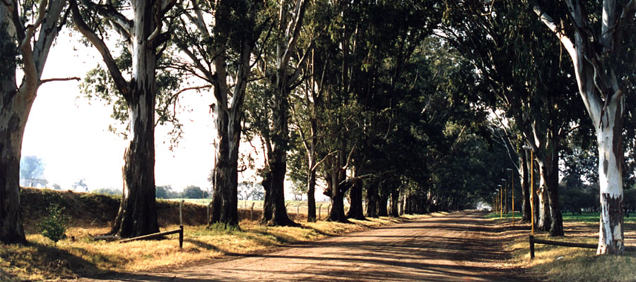 Turismo Activo en Gualeguaych Entre Ros