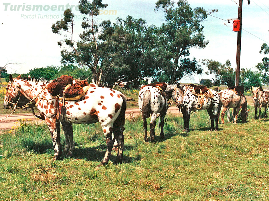 Turismo Rural - Imagen: Turismoentrerios.com