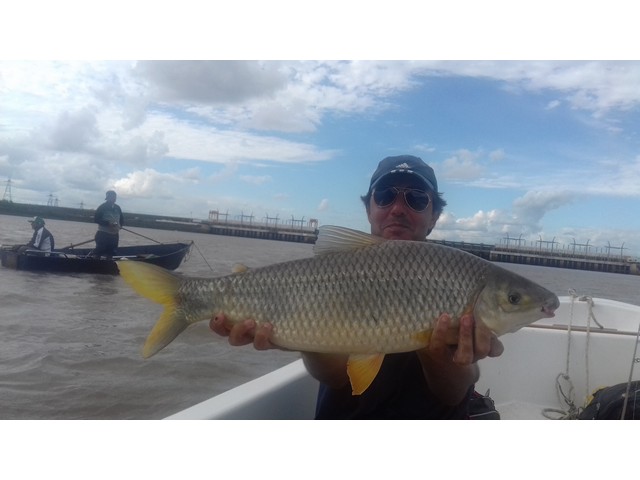 Guillermo Benitez, Guía de Pesca