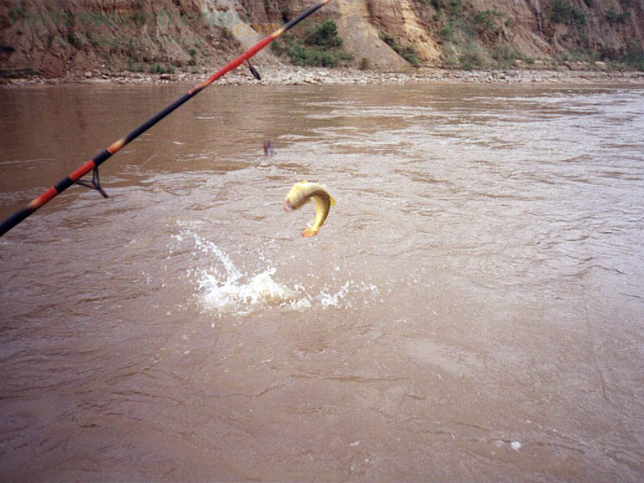 Pesca Deportiva - Imagen: Turismoentrerios.com