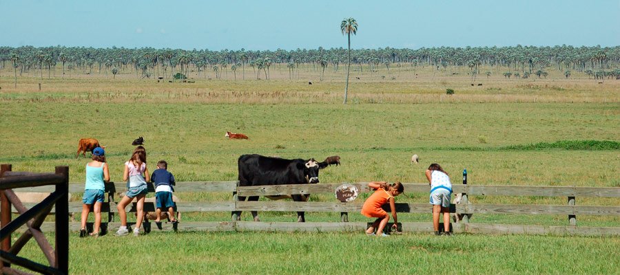 Turismo Rural en Pueblo Liebig