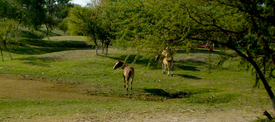 Turismo Rural en Mara Grande Entre Ros