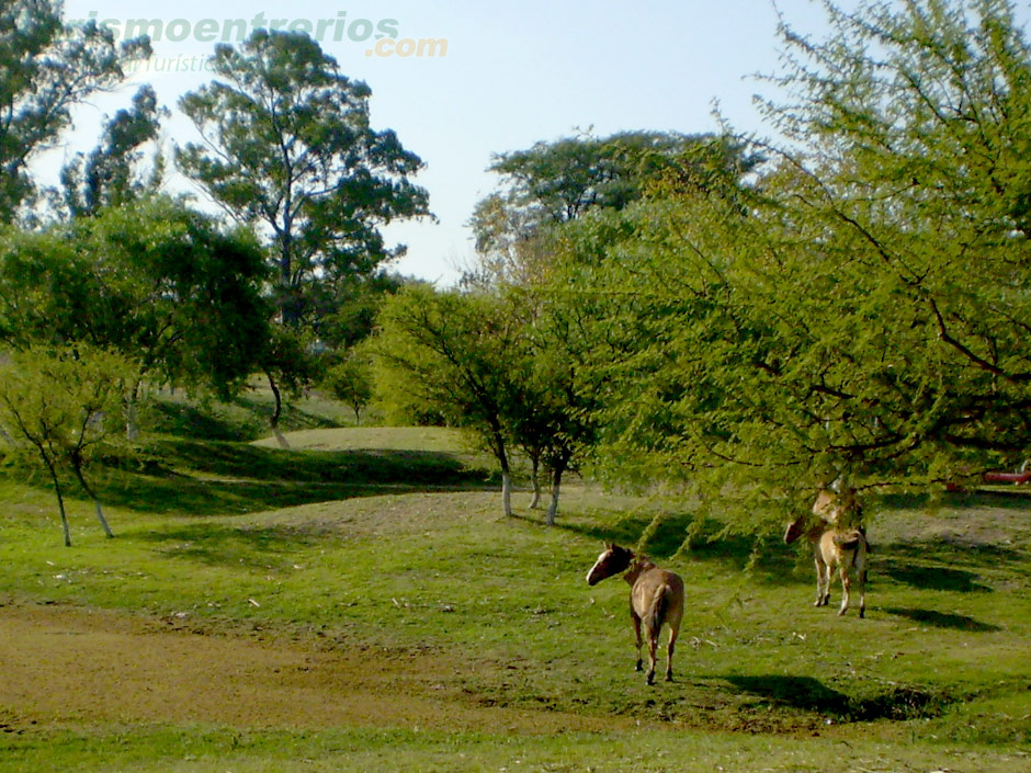 Turismo Rural en Mara Grande - Imagen: Turismoentrerios.com