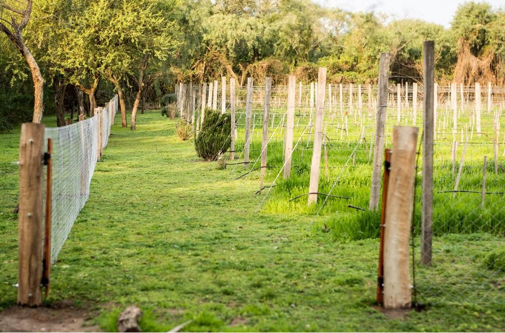 Monterru�o Chacra con encanto