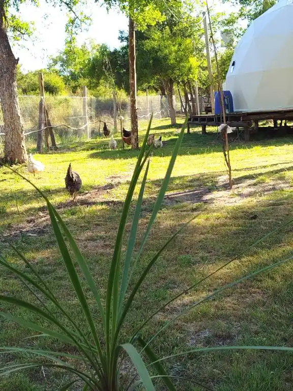 �ae Guaz� Domos Geod�sicos