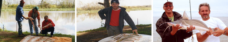 Foto-02