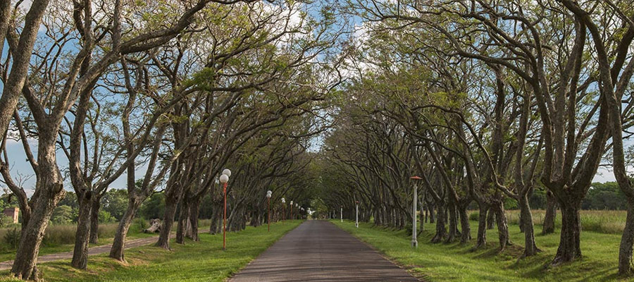 Rutas y Accesos en Oro Verde, Entre Ros