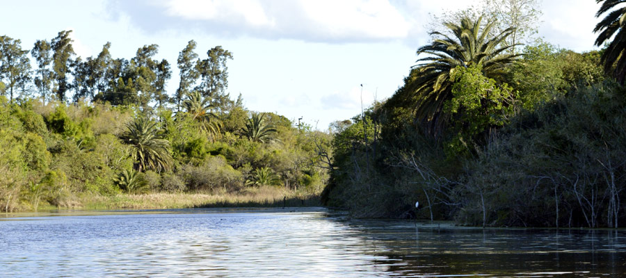 Ecoturismo en Paran Entre Ros