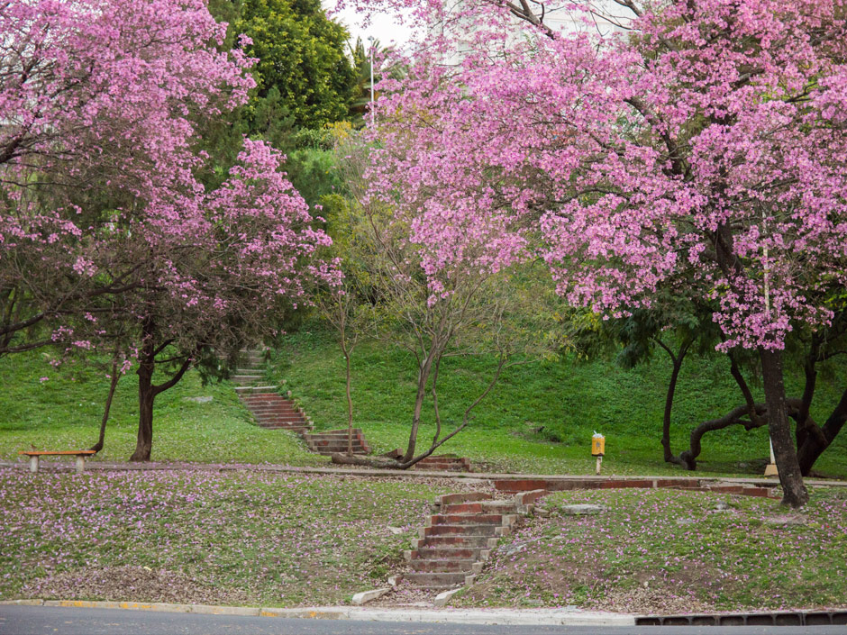 Parque Urquiza - Imagen: Turismoentrerios.com