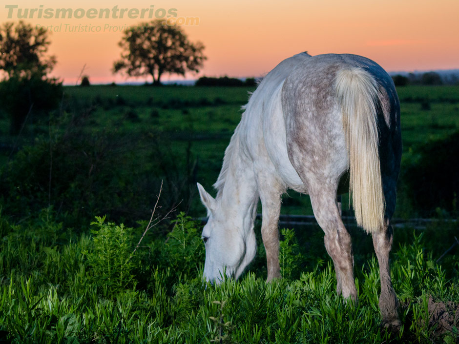 Turismo Rural - Imagen: Turismoentrerios.com