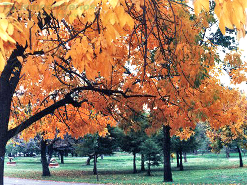 Parque Unzu - Imagen: Turismoentrerios.com