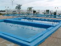 Termas de Coln