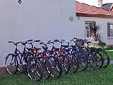 Alquiler de Bicicletas - Federacin