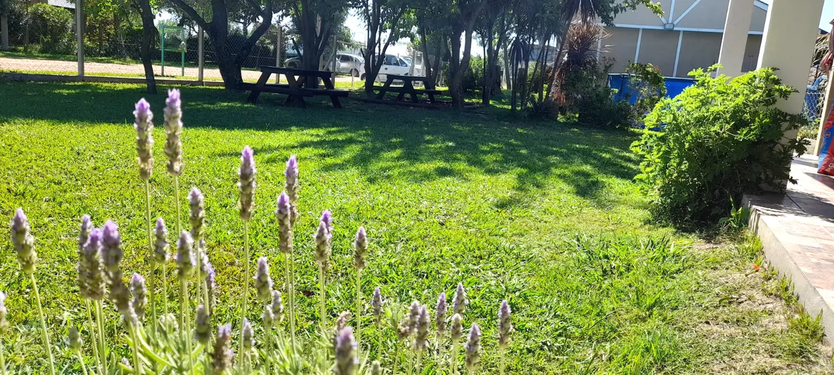 Rulitos de Sol