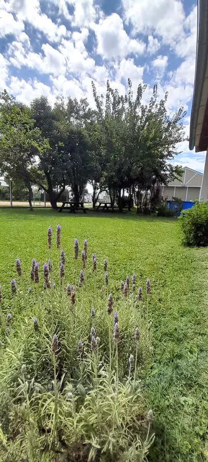 Rulitos de Sol