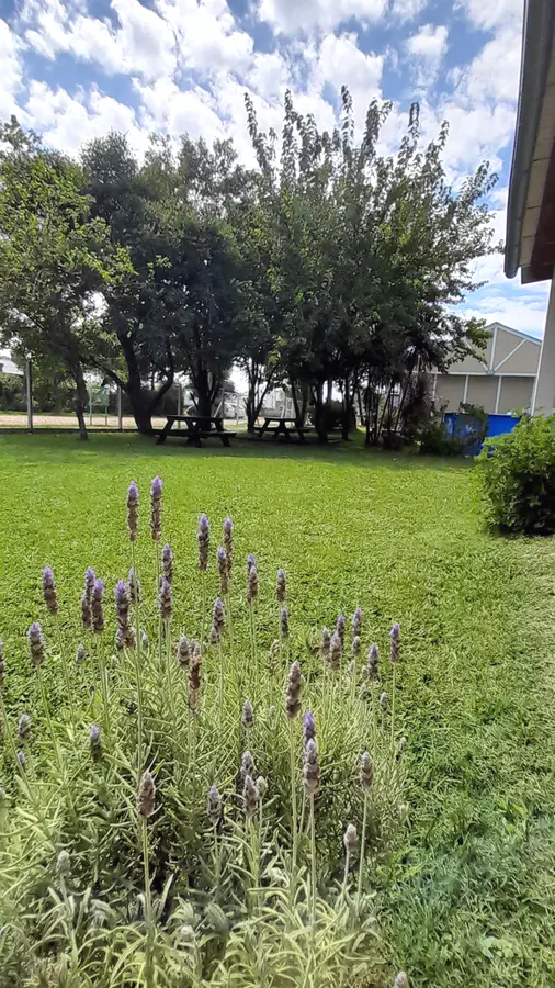 Rulitos de Sol