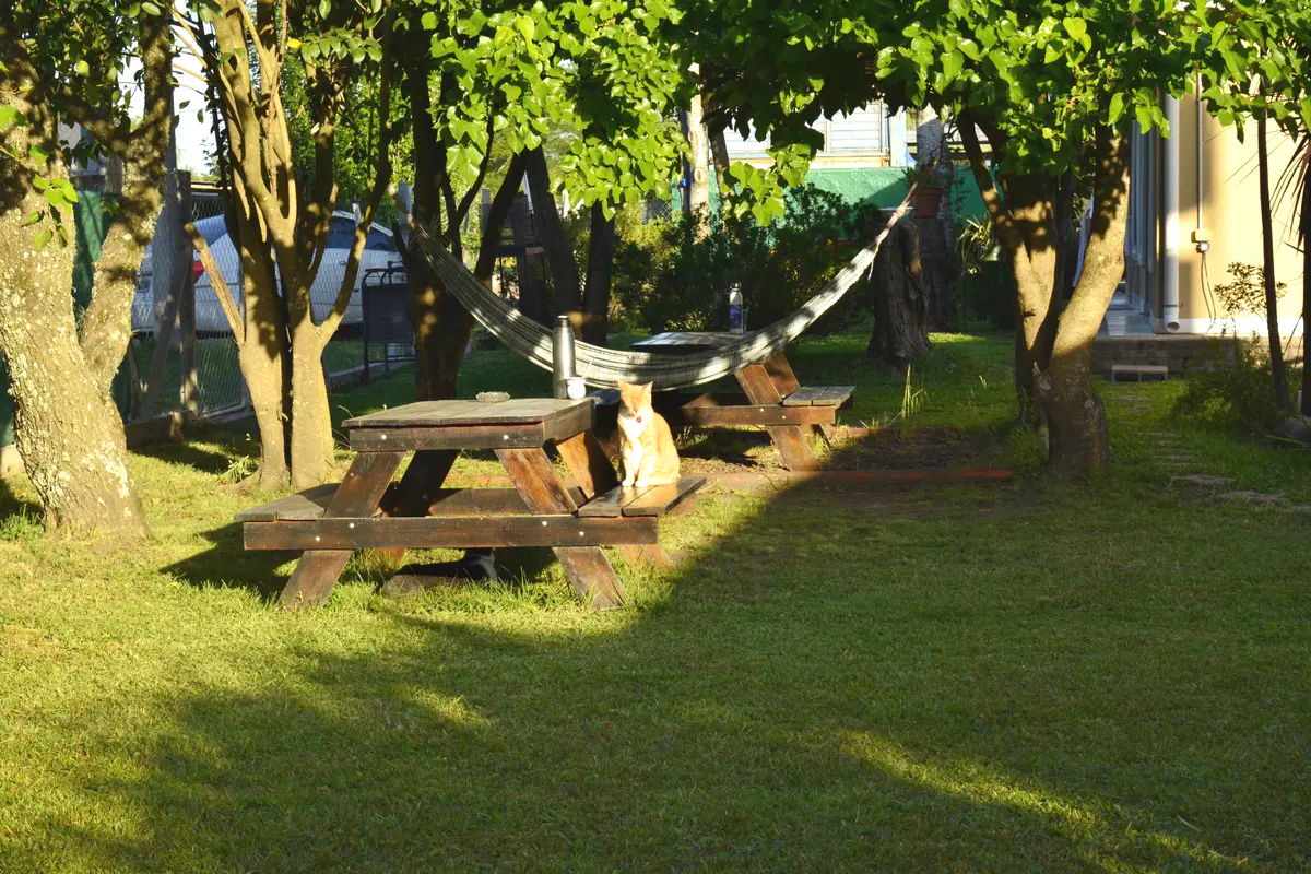 Rulitos de Sol