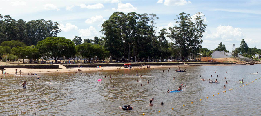 Naturaleza en Santa Ana