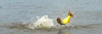 Fishing in Gualeguay River