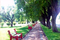 Camping Municipal Federal