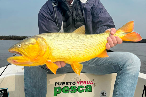 Rafael Geier - Guia de pesca