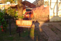 Estilo Campo
