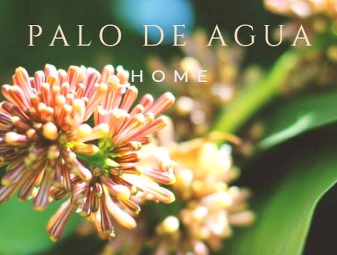 Palo de Agua Home